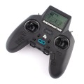 RadioMaster Zorro Radio 4in1 (M2)
