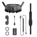 Gogle FPV DJI FPV Goggles 2